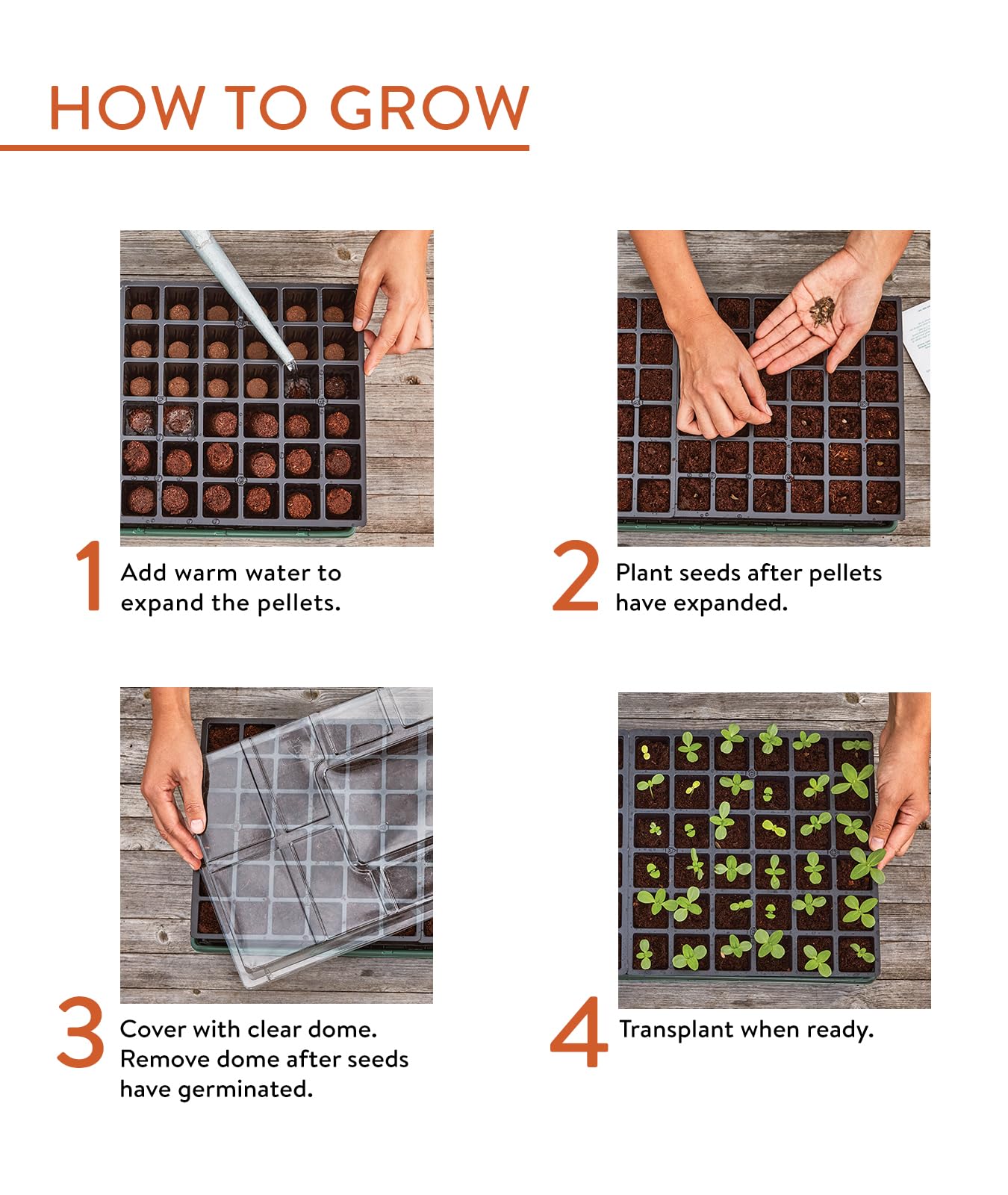Burpee seed starting kit with plant markers and diagrams