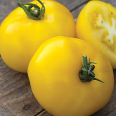 Burpee Sunny Boy Hybrid Tomato Seeds packet with 30 seeds