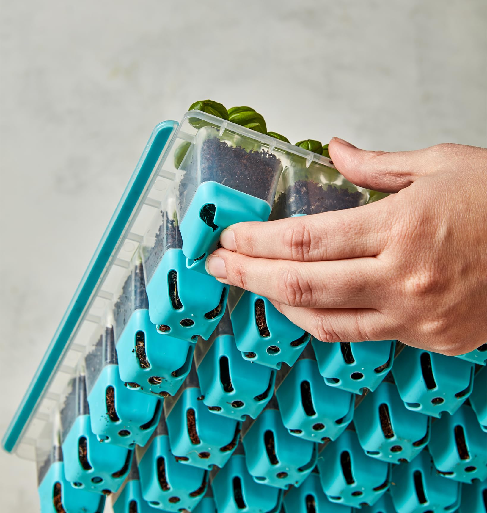 Burpee SuperSeed Seed Tray being used for indoor planting