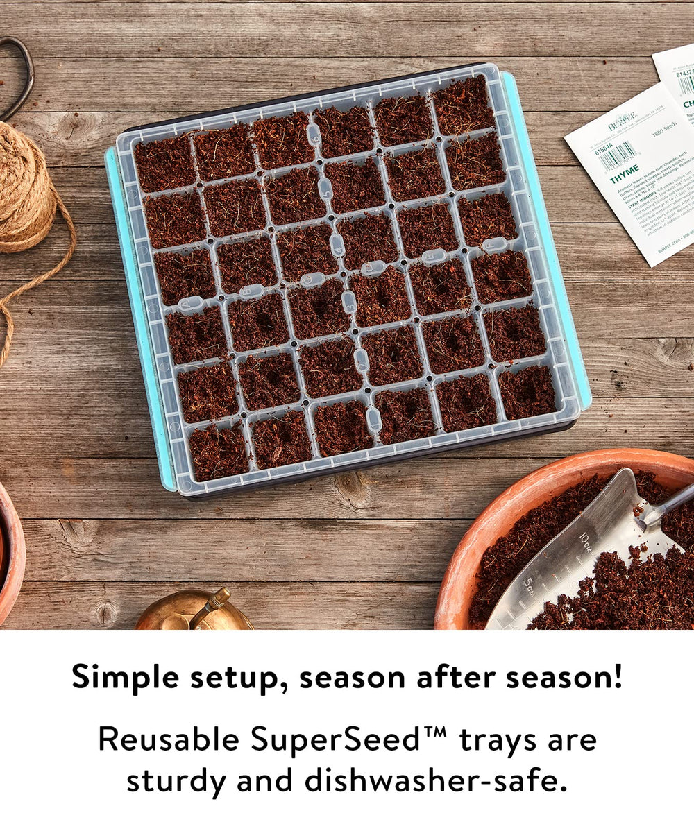 Burpee SuperSeed Seed Tray showing watering channels