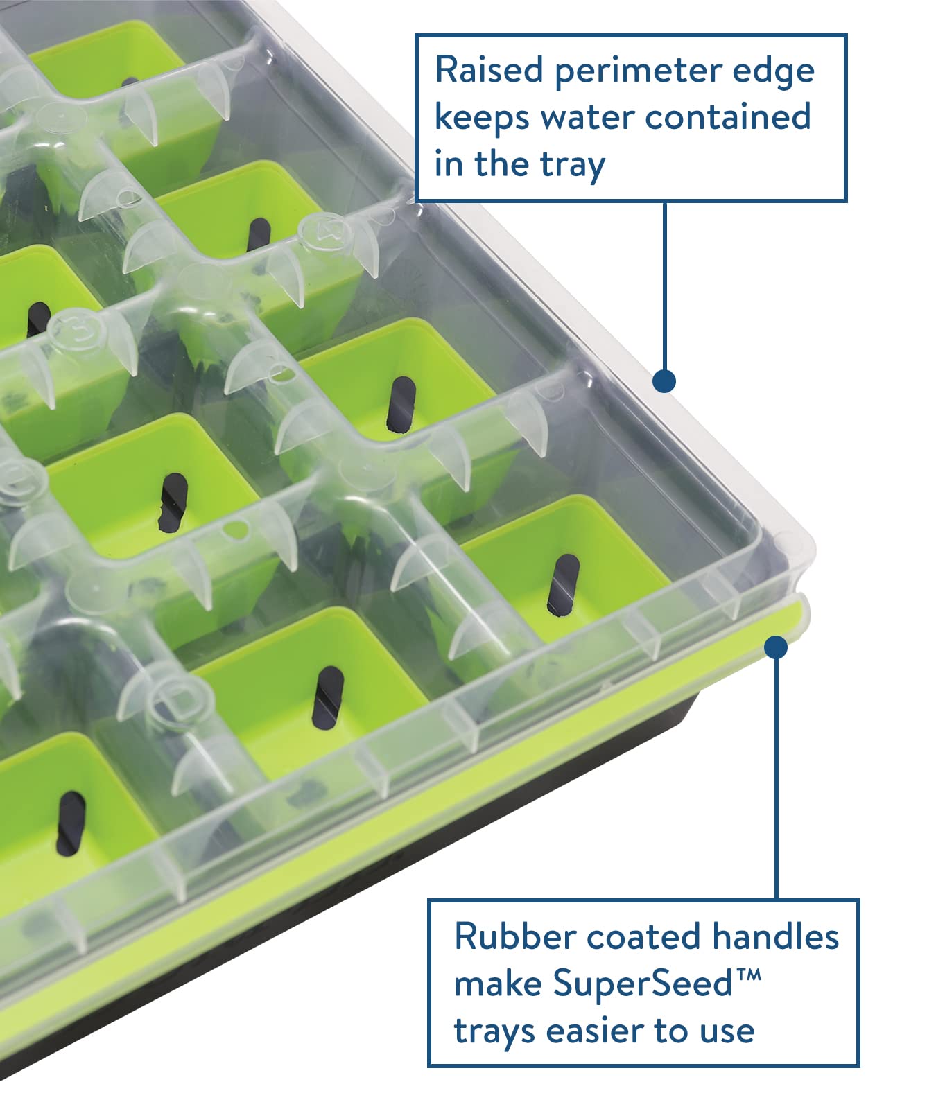 Burpee SuperSeed tray with seedlings growing in 16 cells