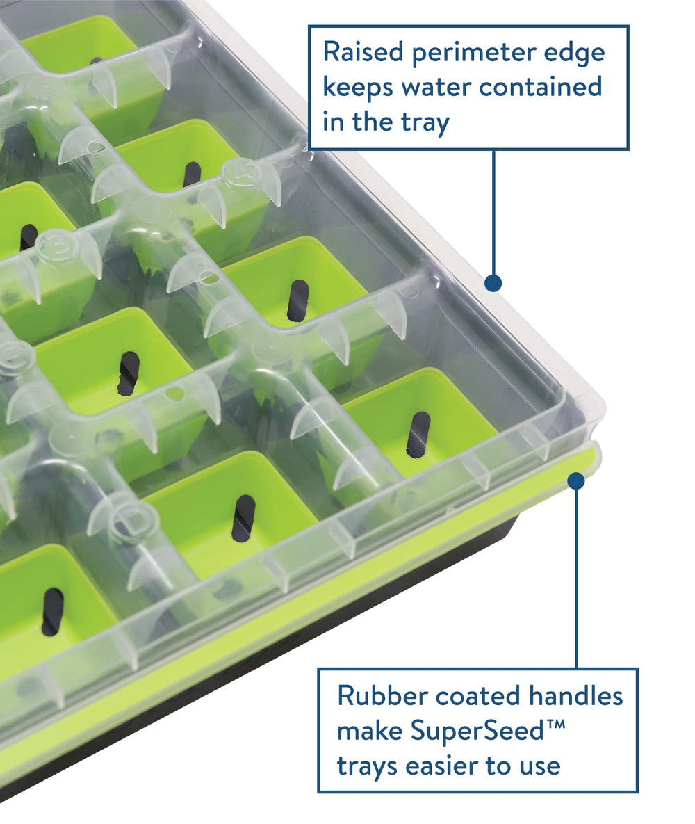 Burpee SuperSeed tray with seedlings growing in 16 cells