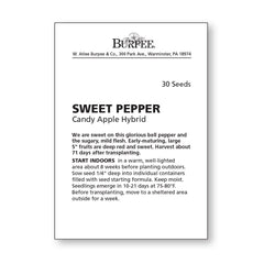 Burpee Sweet Candy Apple Hybrid Bell Pepper seeds in soil with seedlings growing