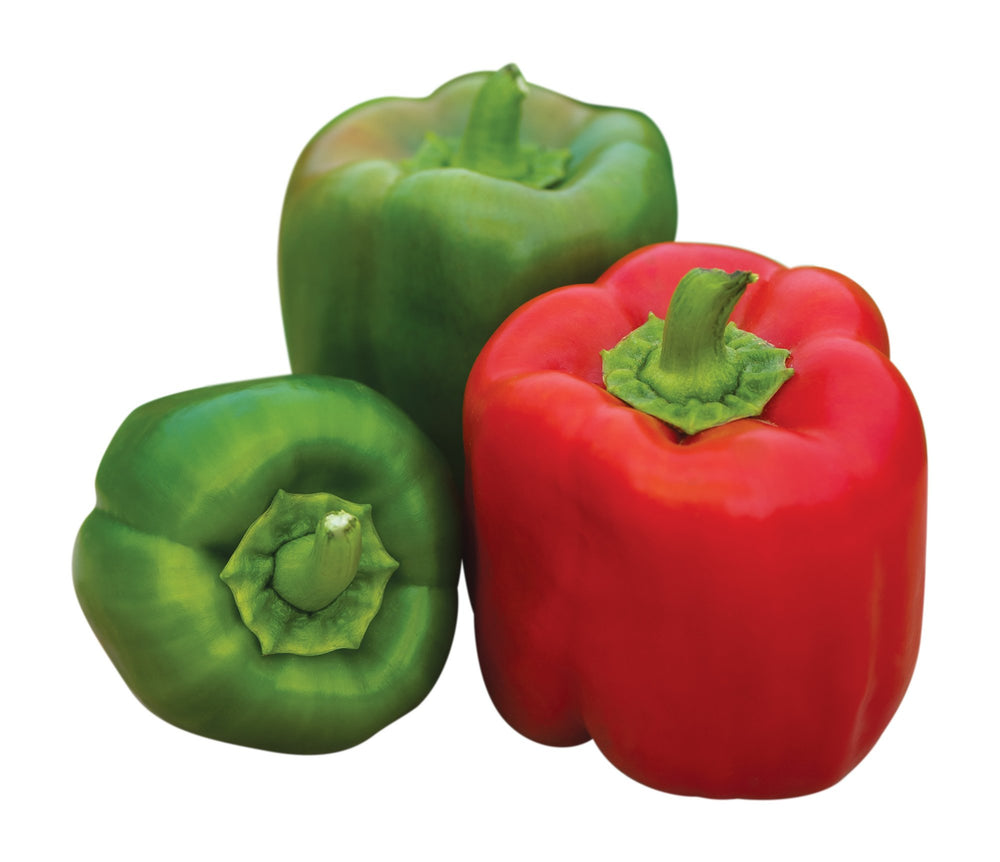 Burpee Sweet Candy Apple Hybrid Bell Pepper Seeds packet front view with 30 seeds