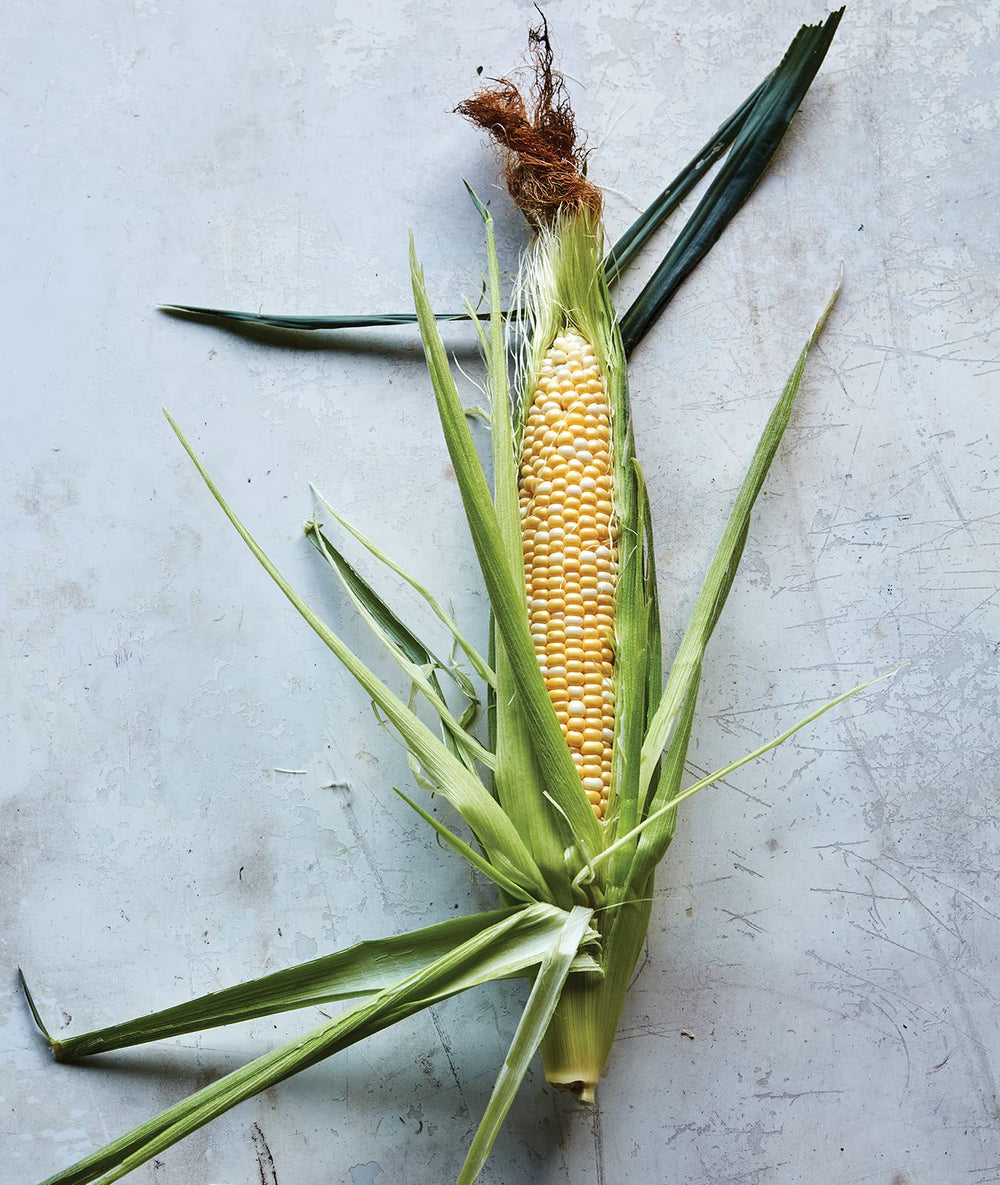 Burpee Sweetness Sweet Corn Seeds packet back view with planting instructions