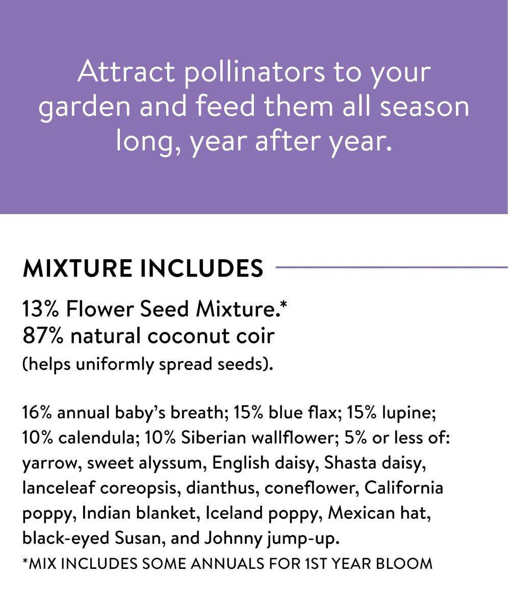 Burpee Wildflower Seeds package dimensions and details