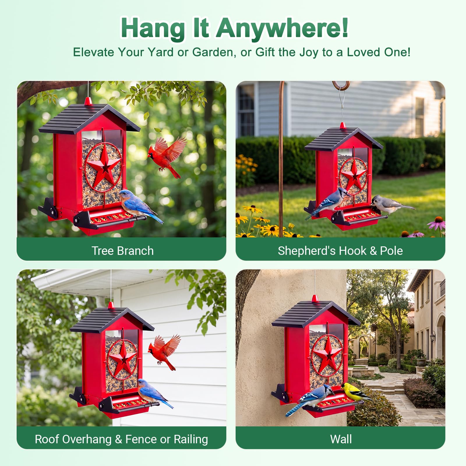 Buteafly Bird Feeder hanging in a backyard setting