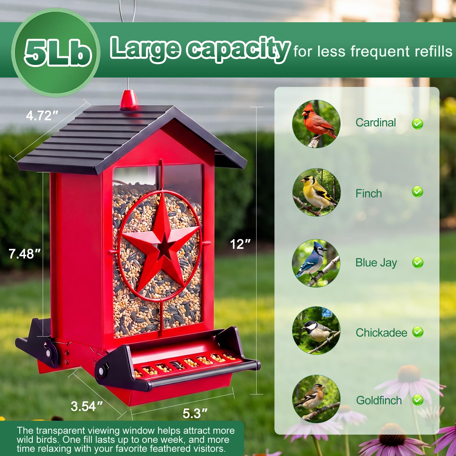 Buteafly Bird Feeder in the garden with birds