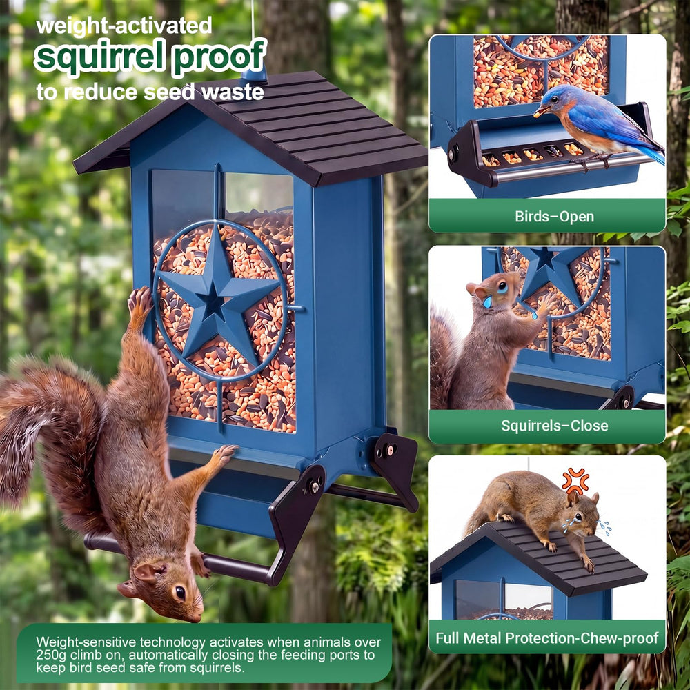 Buteafly Bird Feeder side view showing hanging wire and top lid