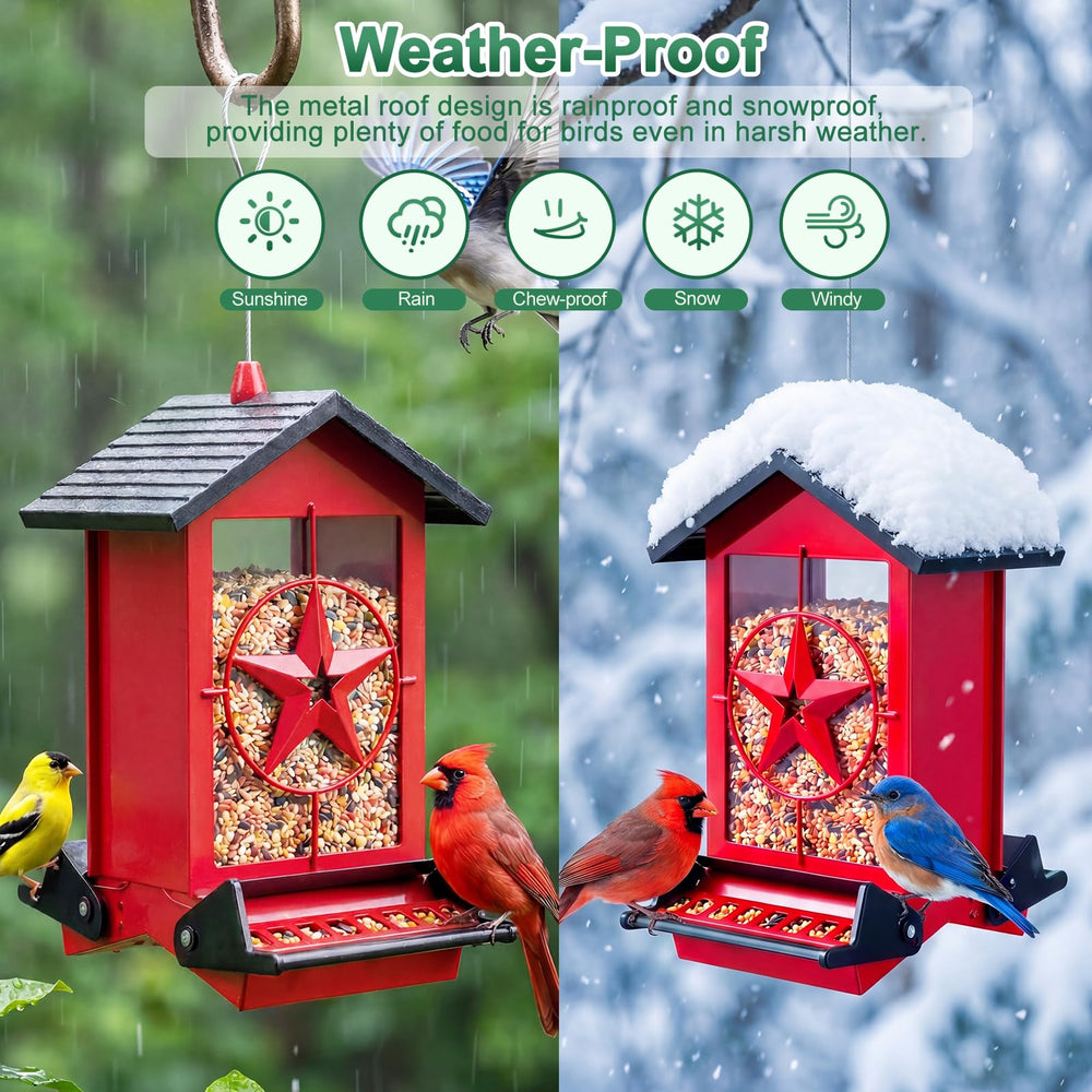 Buteafly Bird Feeder with removable lid for easy refilling
