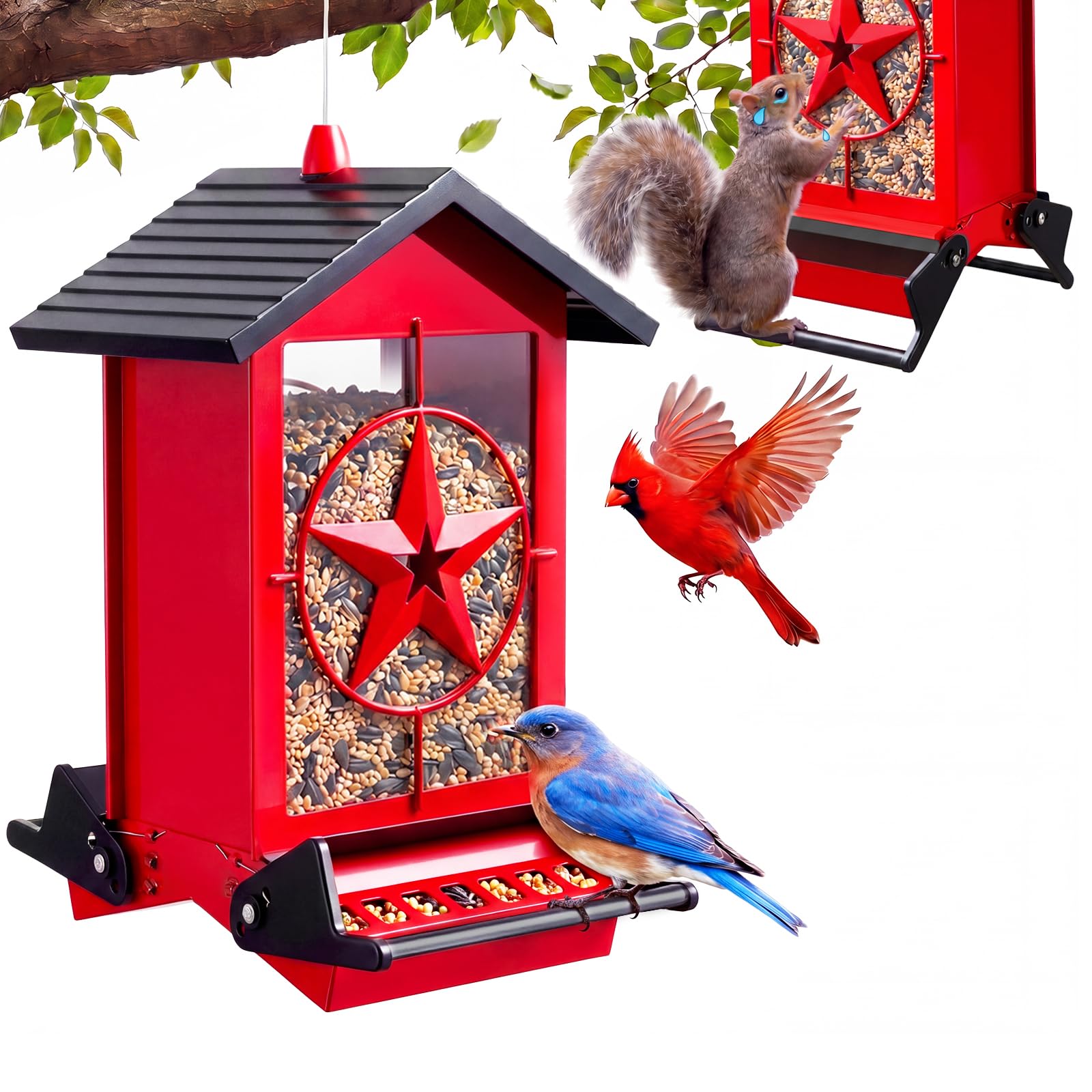 Buteafly Squirrel Proof Bird Feeder, red color, front view