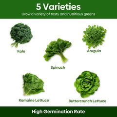 Buttercrunch Lettuce seeds from Groundio