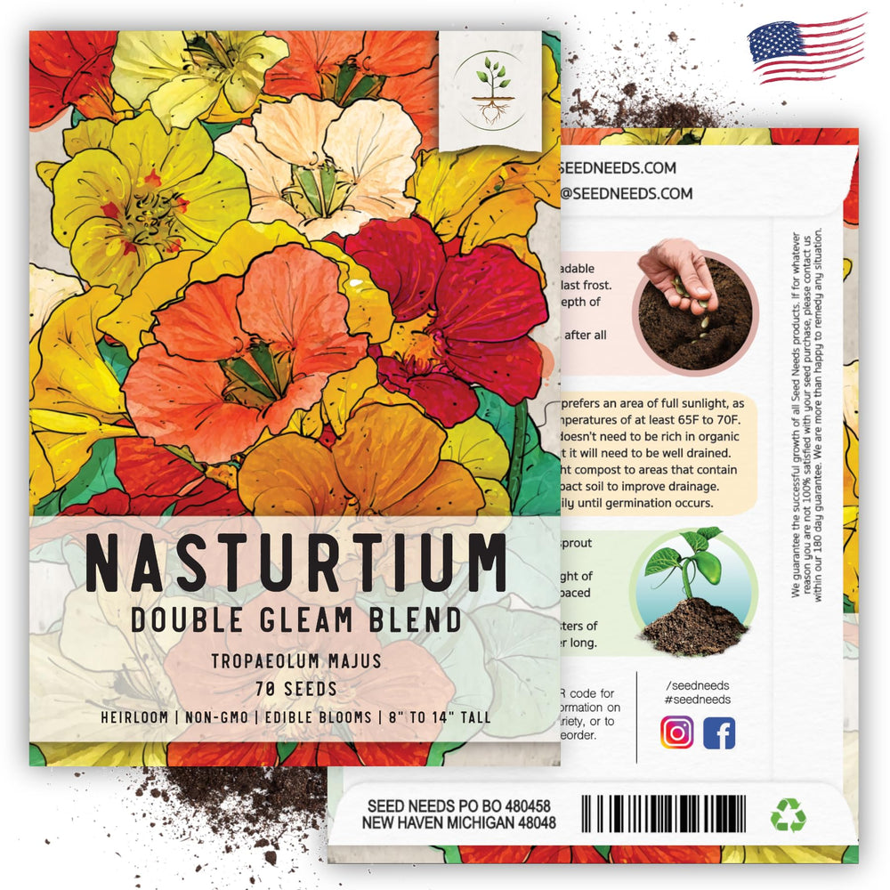 Butterflies attracted to Double Gleam Nasturtium flowers