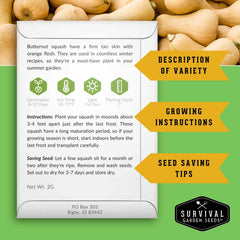 Butternut squash seed close-up from the 4 variety pack