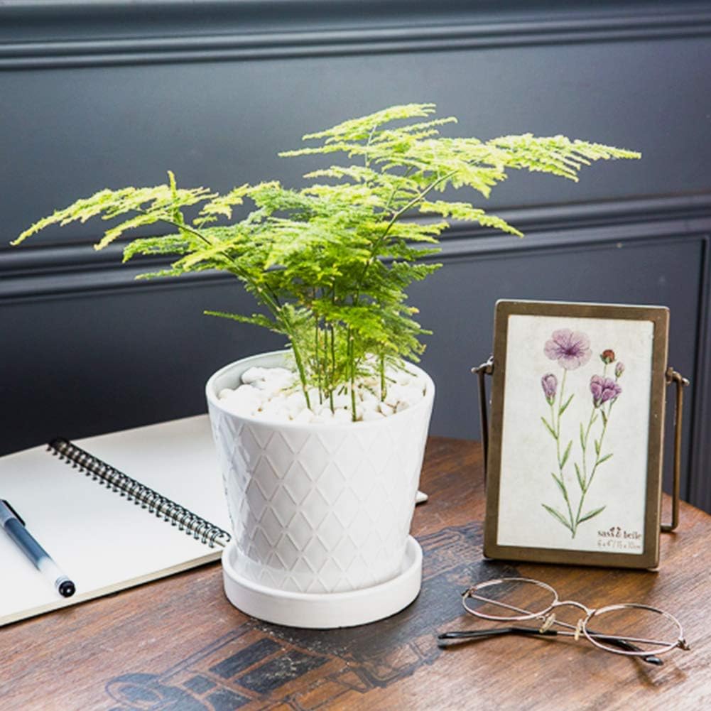 BUYMAX 5-inch white ceramic pot with drainage hole