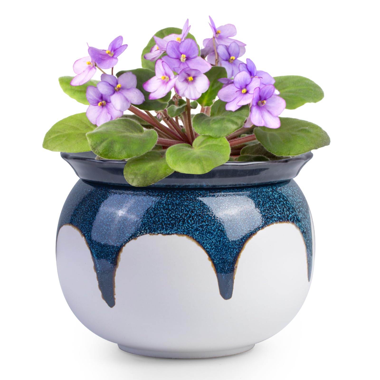 BUYMAX 6 inch white-blue self-watering pot front view