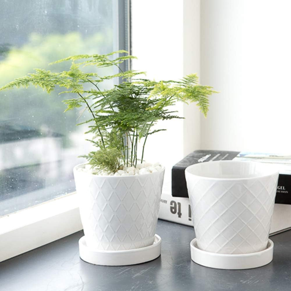 BUYMAX ceramic flower pot set displayed with small plants