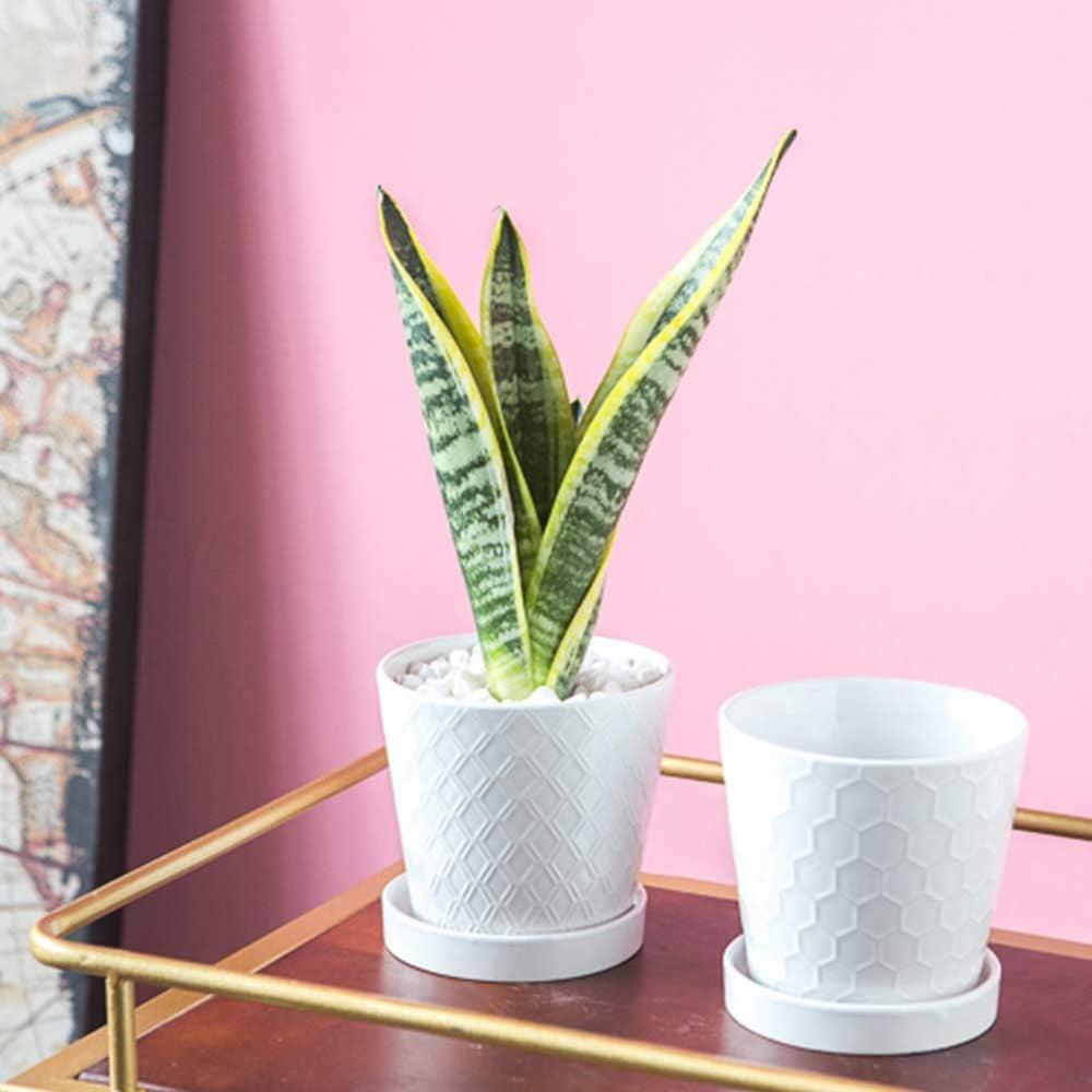 BUYMAX ceramic flower pots with saucers on a wooden table