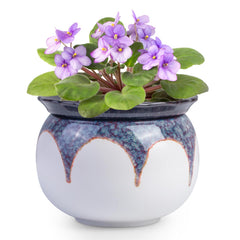 BUYMAX self-watering ceramic pot front view with white-red finish