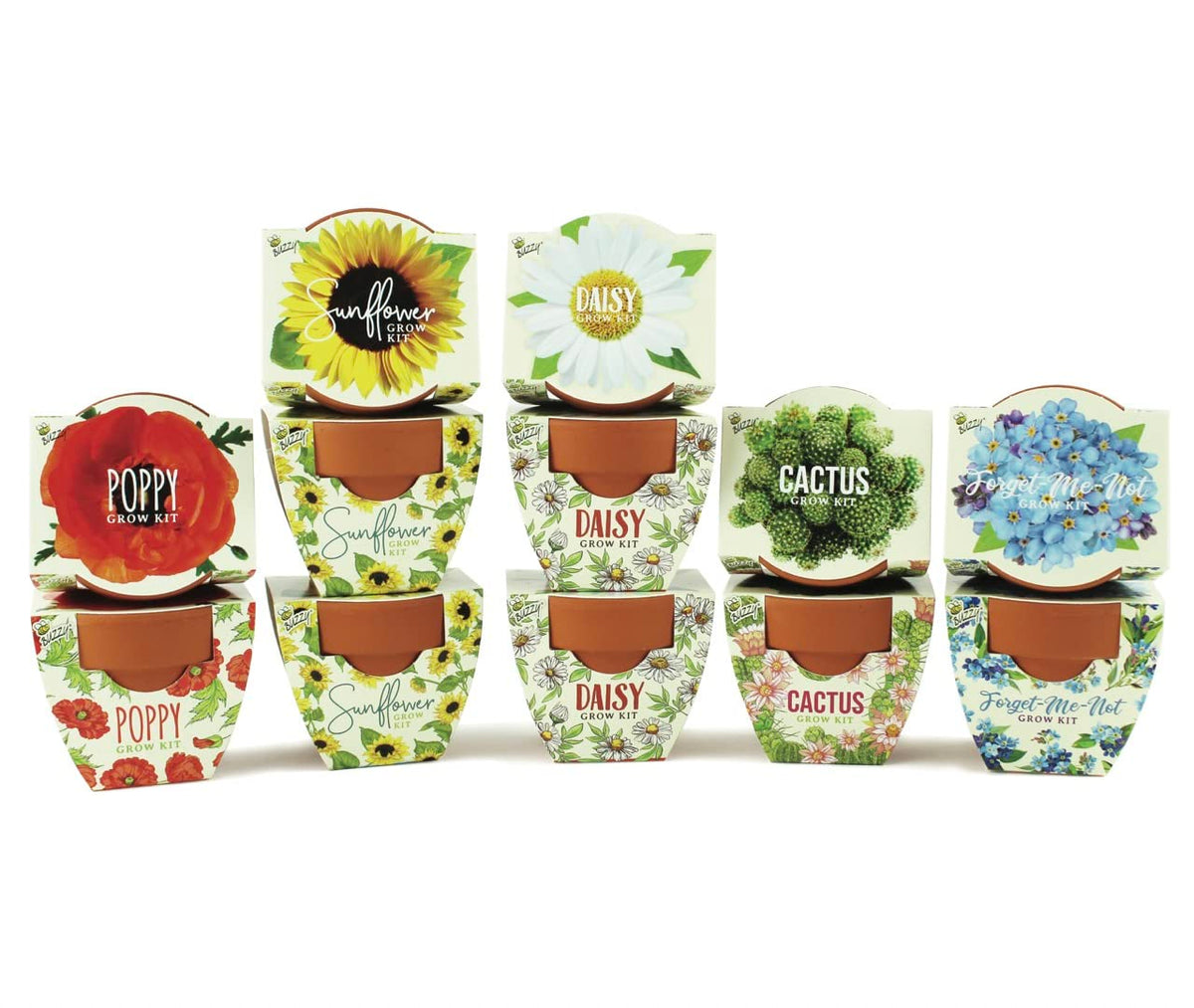 BUZZY Daydream Grow Kit with 12 terracotta pots and assorted flower seeds