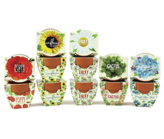 BUZZY Daydream Grow Kit with 12 terracotta pots and assorted flower seeds