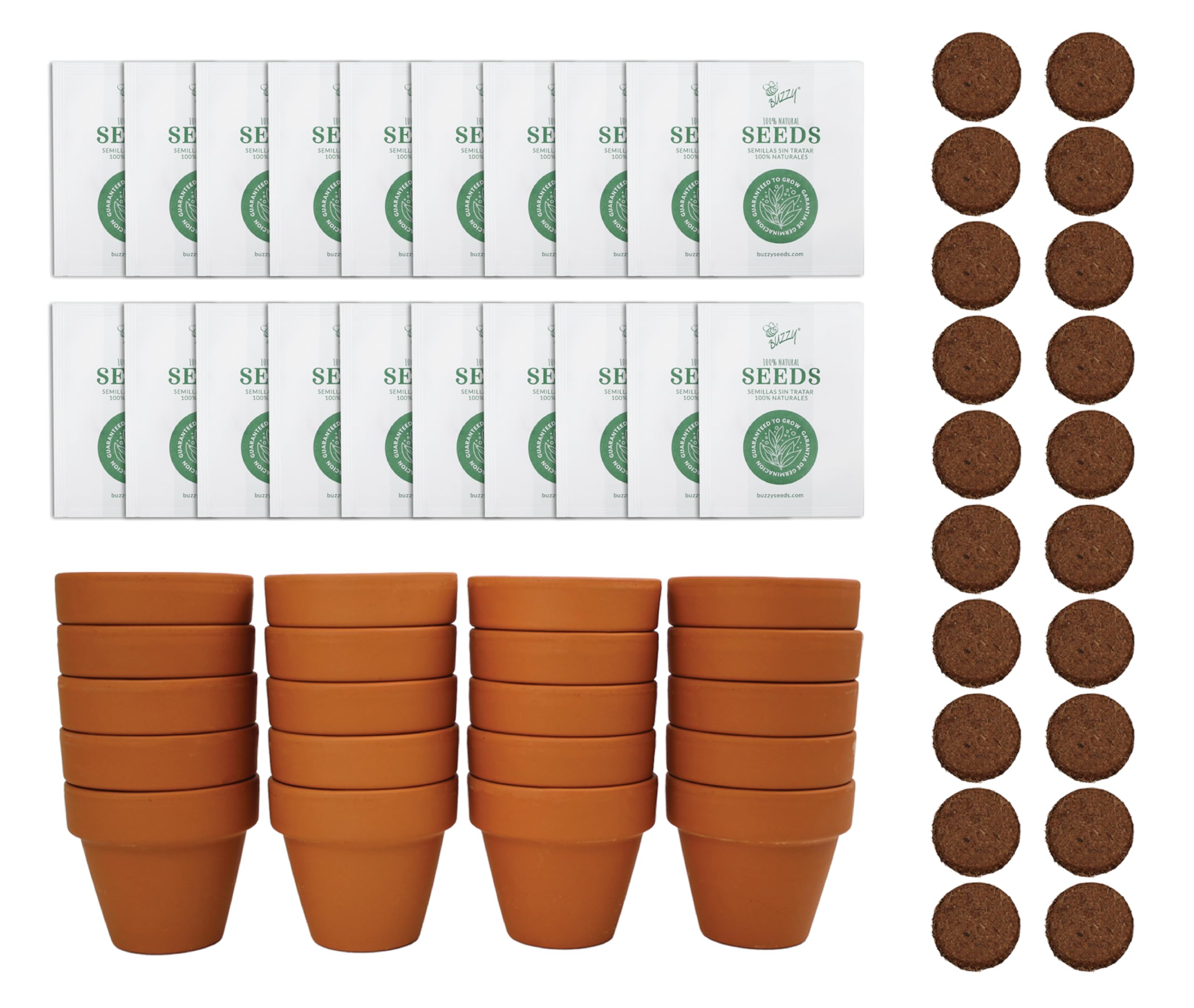BUZZY Spruce Tree Grow Kit with terracotta pots and seeds