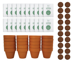 BUZZY Spruce Tree Grow Kit with terracotta pots and seeds