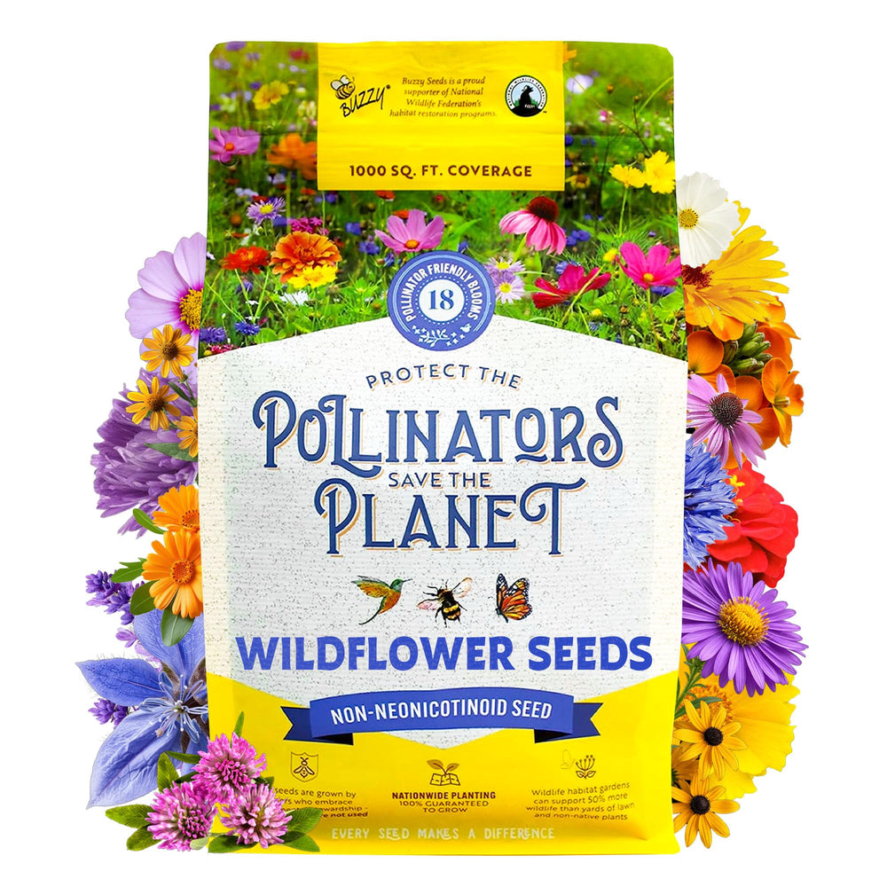 BUZZY Wildflower Seed Mix 1 lb bag front view