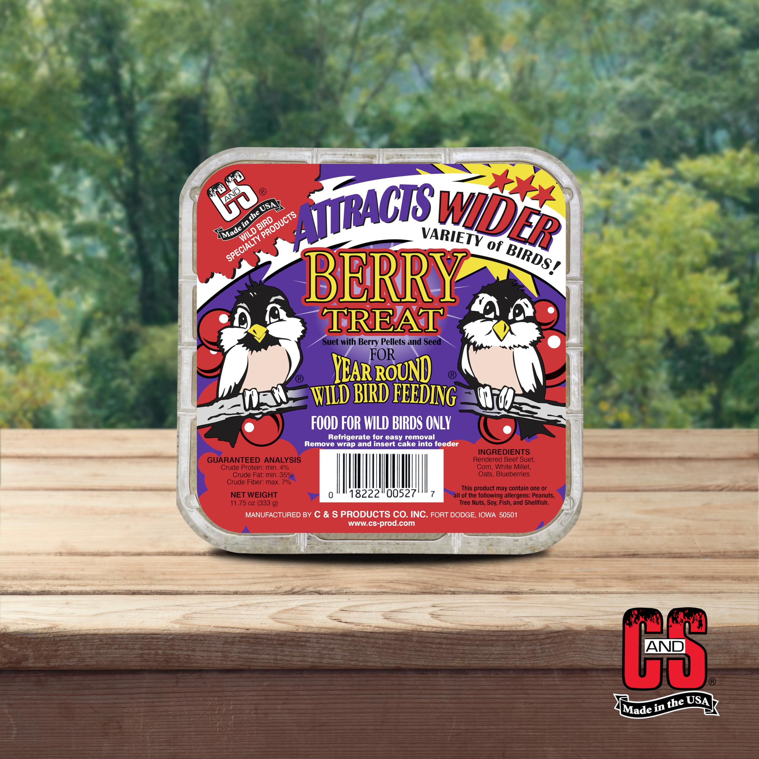 C&S Berry Suet with blueberries on the side