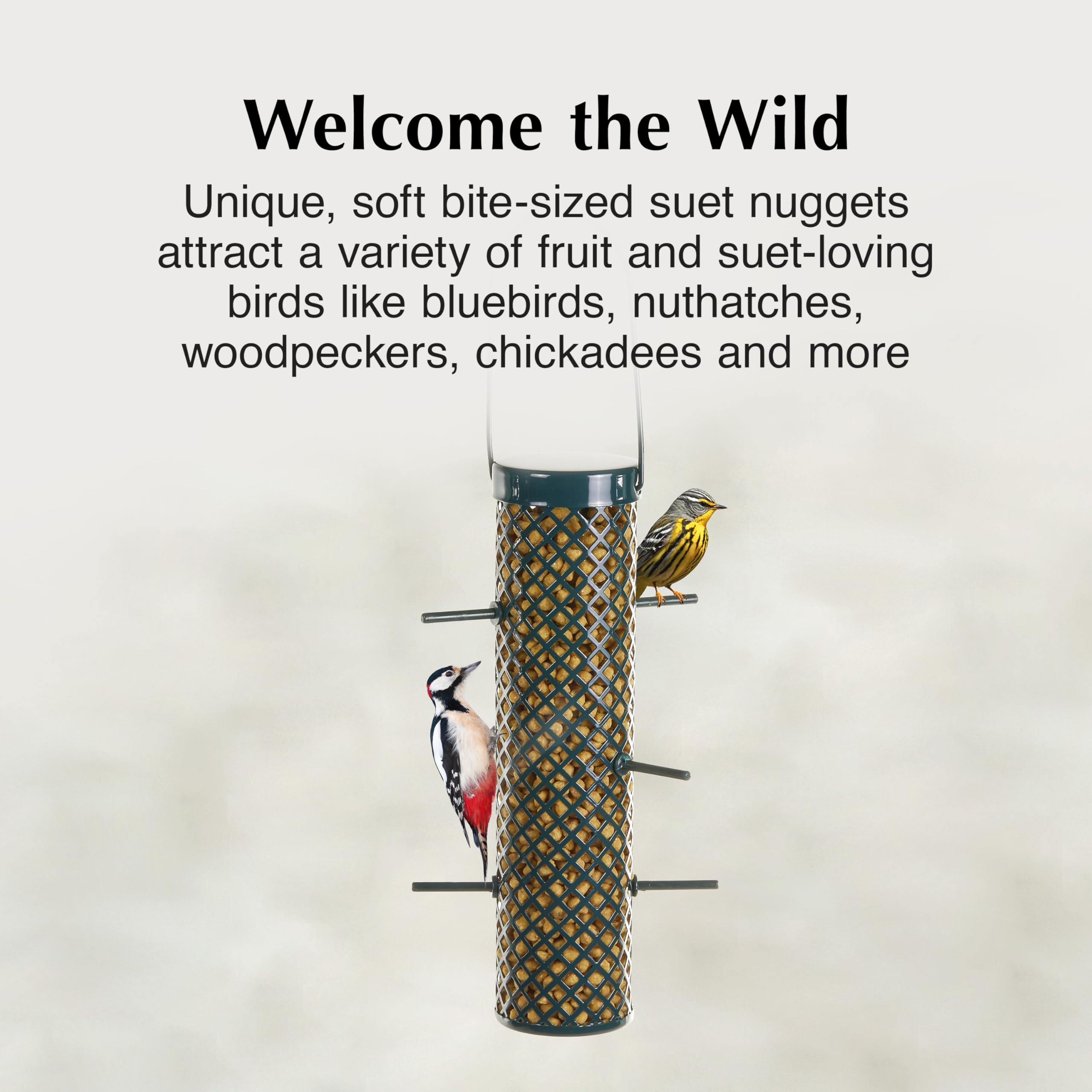 C&S Bluebird Suet Nuggets package dimensions