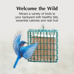 C&S Deluxe Suet Feeder side view showing hanging feature