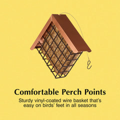 C&S Hanging Suet Feeder in a backyard setting
