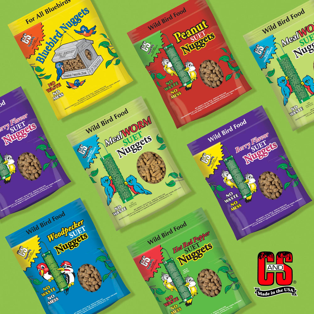 C&S Mealworm Suet Nuggets in a bird feeder with various birds