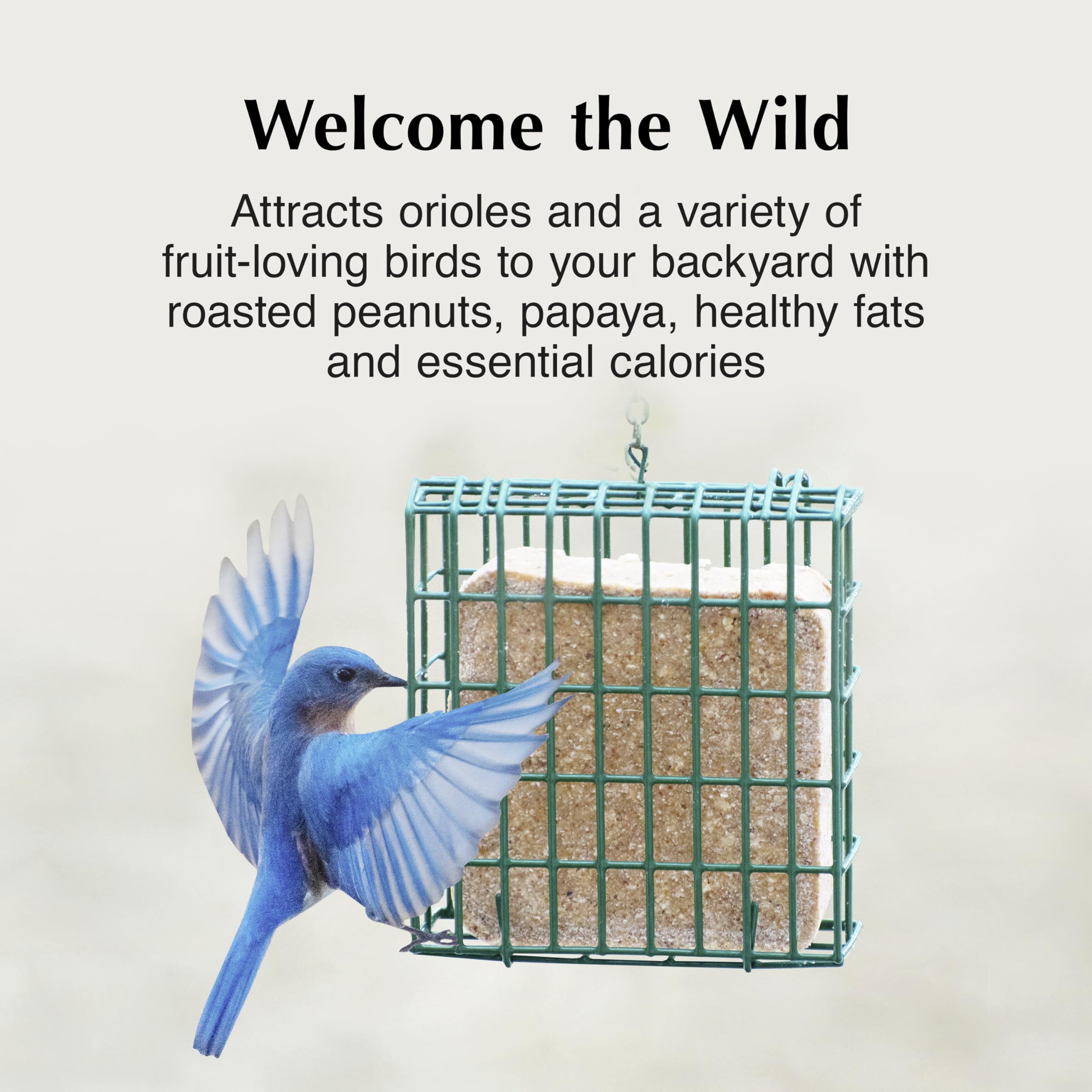 C&S Oriole Delight No Melt Suet Dough in a feeder