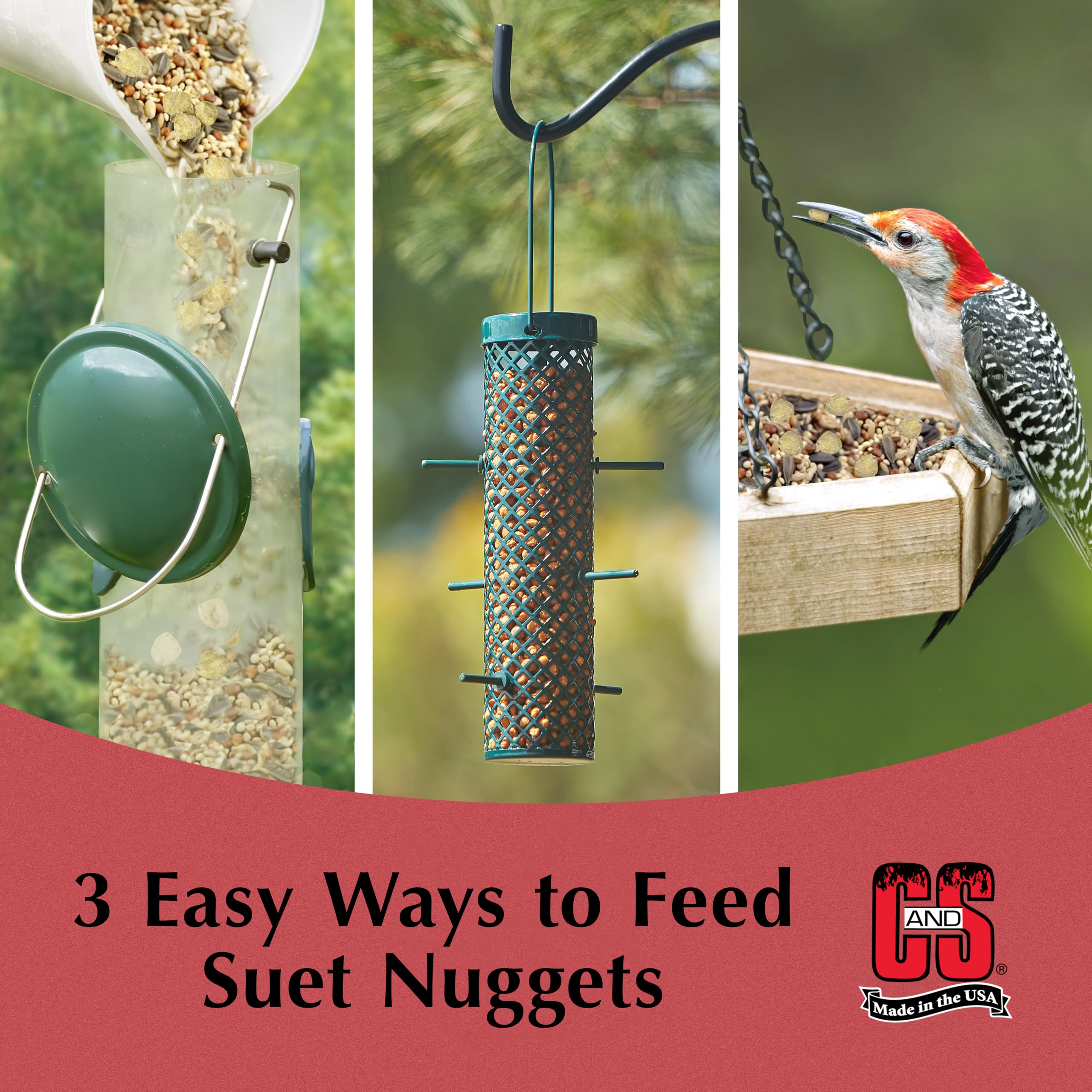 C&S Peanut Suet Nuggets 8 Pound in a bird feeder