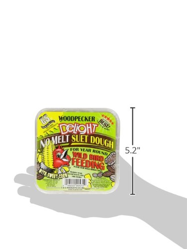 C&S Woodpecker Delight No Melt Suet Dough in feeder