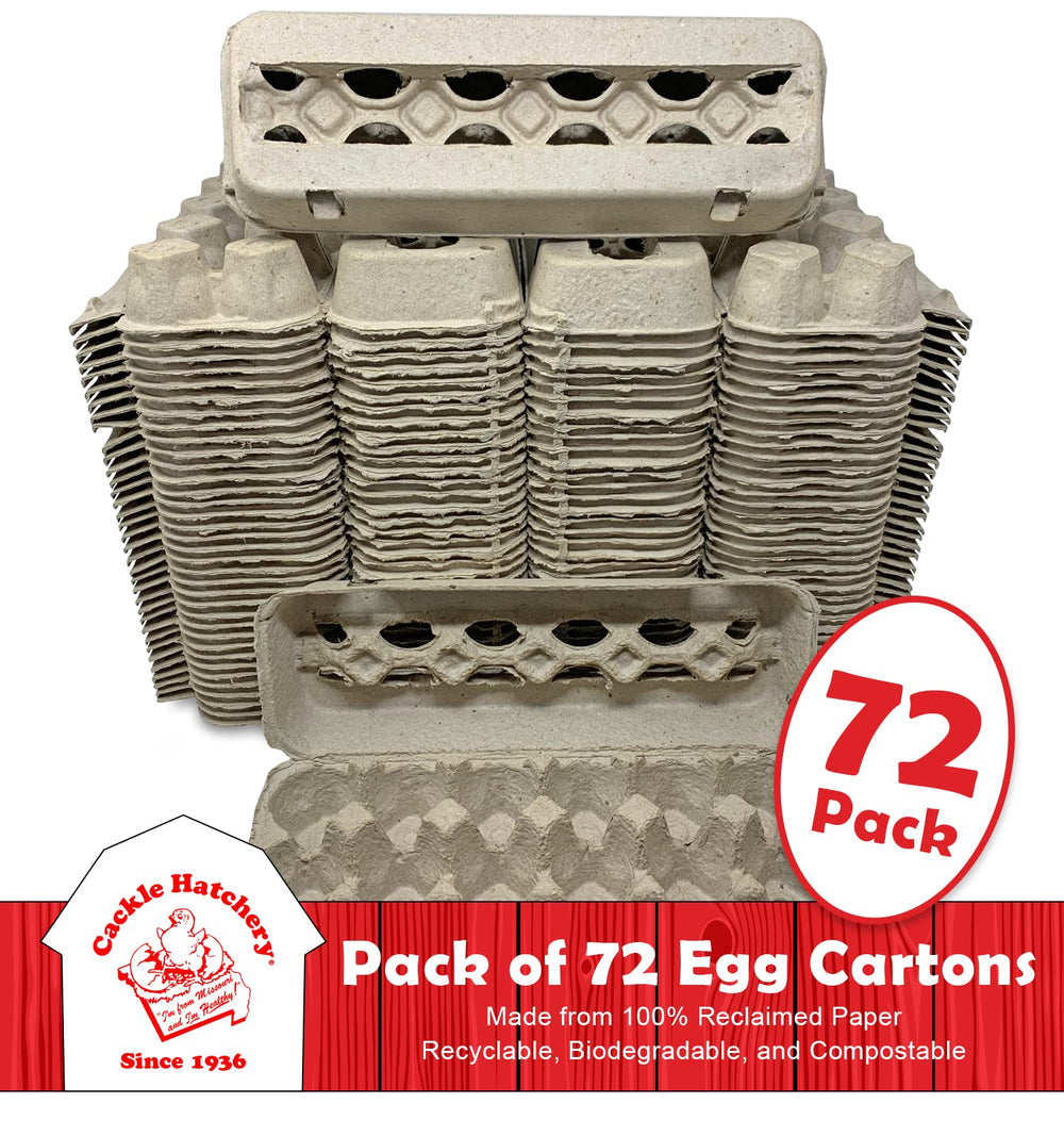 Cackle Hatchery Egg Carton open with eggs inside