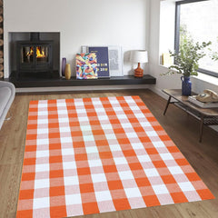CAINANEL outdoor rug layered with welcome mat