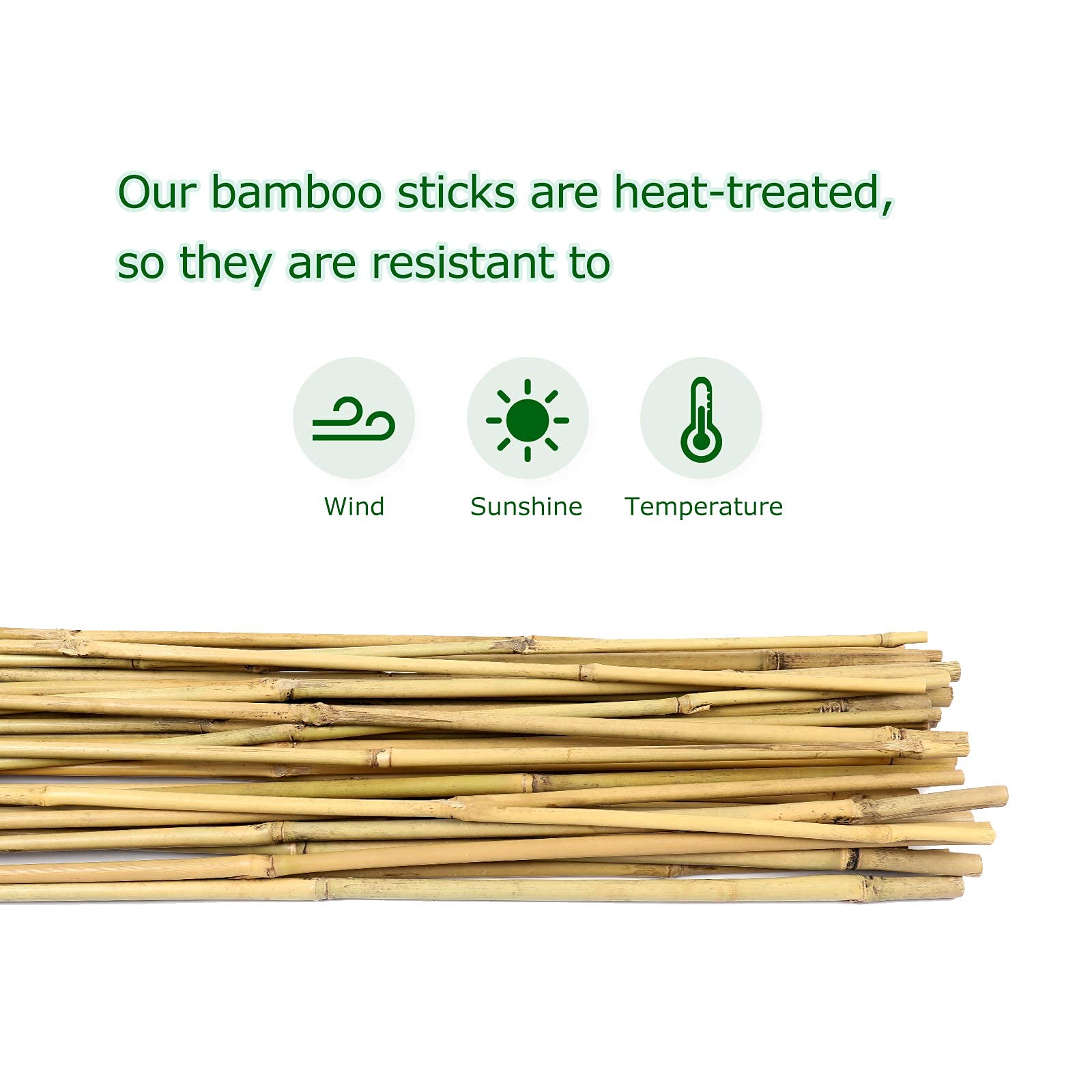 Cambaverd Bamboo Stakes 25 pack display
