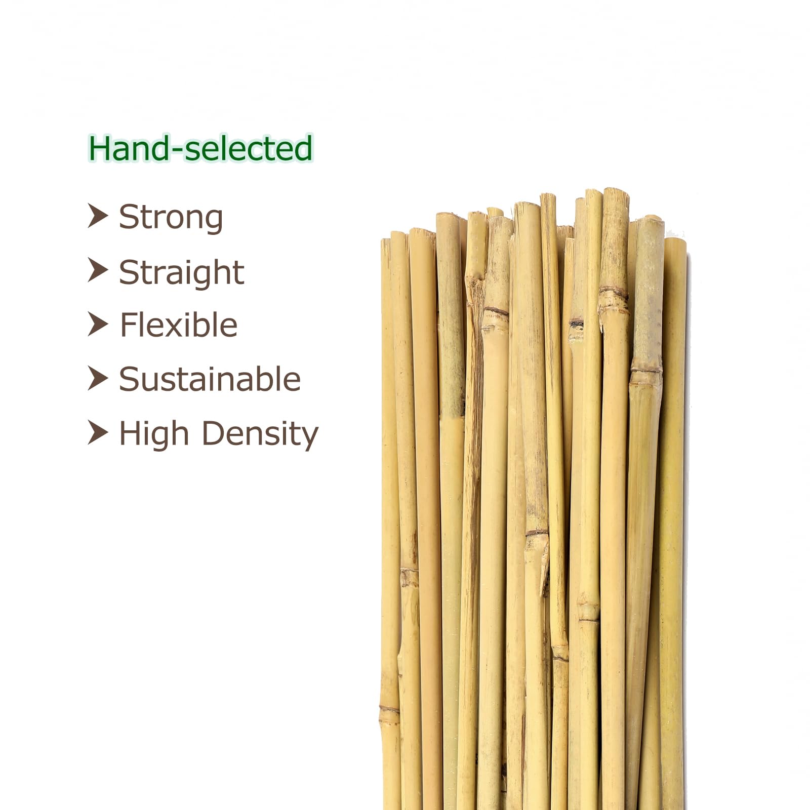 Cambaverd Bamboo Stakes 3 Feet natural colour
