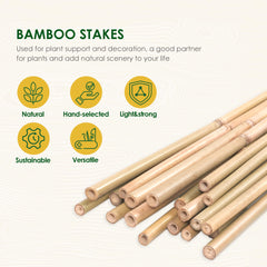 Cambaverd Bamboo Stakes 3ft in garden with plants support
