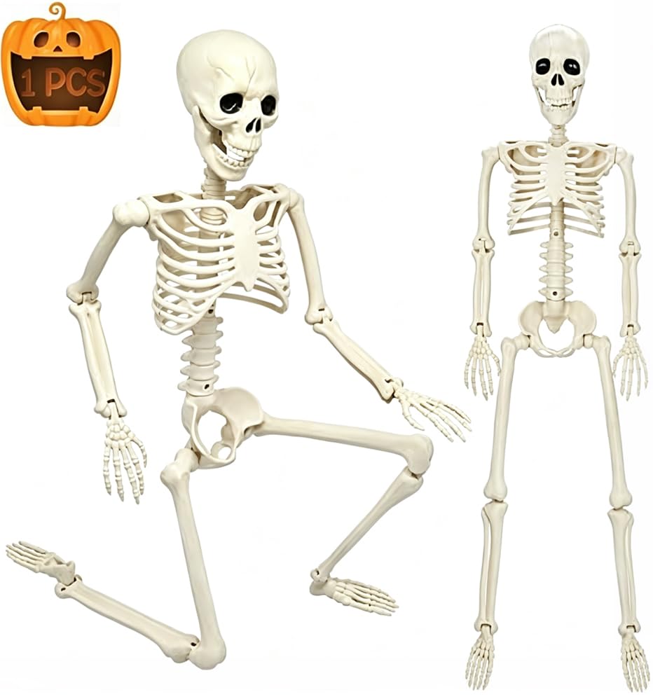 CAMIRUS 3FT Halloween Skeleton front view with movable joints
