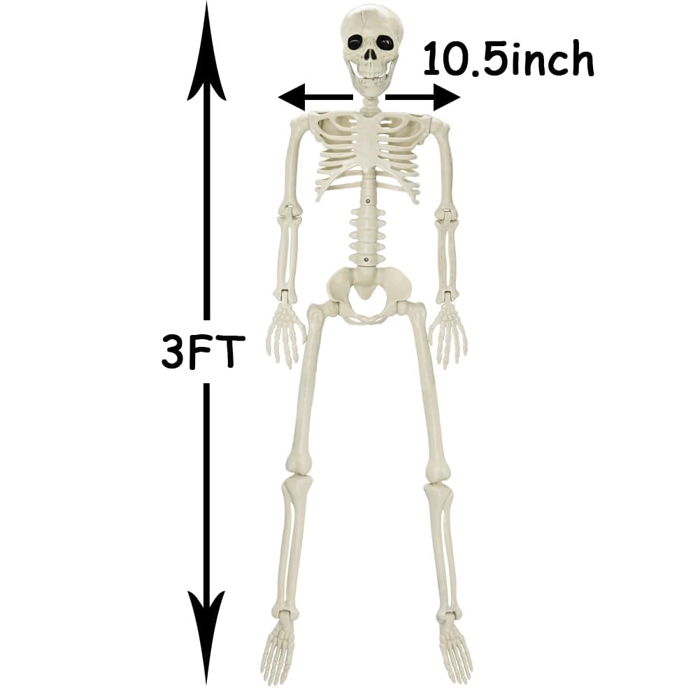 CAMIRUS 3FT Halloween Skeleton side view displaying joints