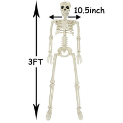 CAMIRUS 3FT Halloween Skeleton side view displaying joints
