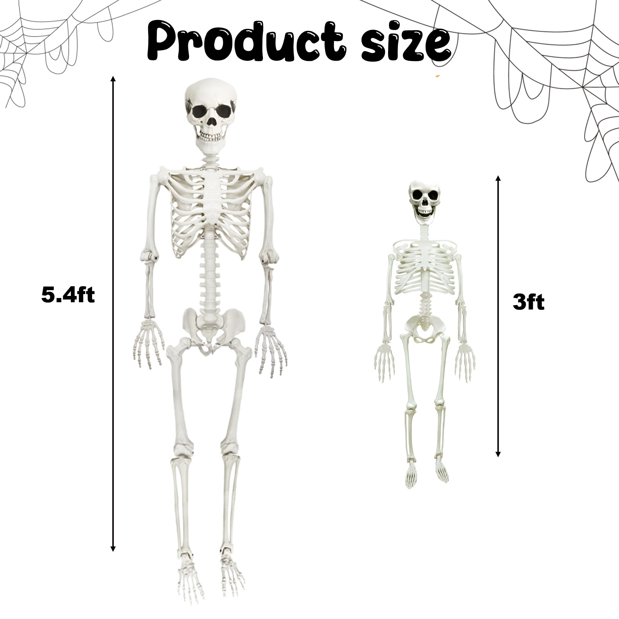 CAMIRUS 3ft skeleton posed with arms raised