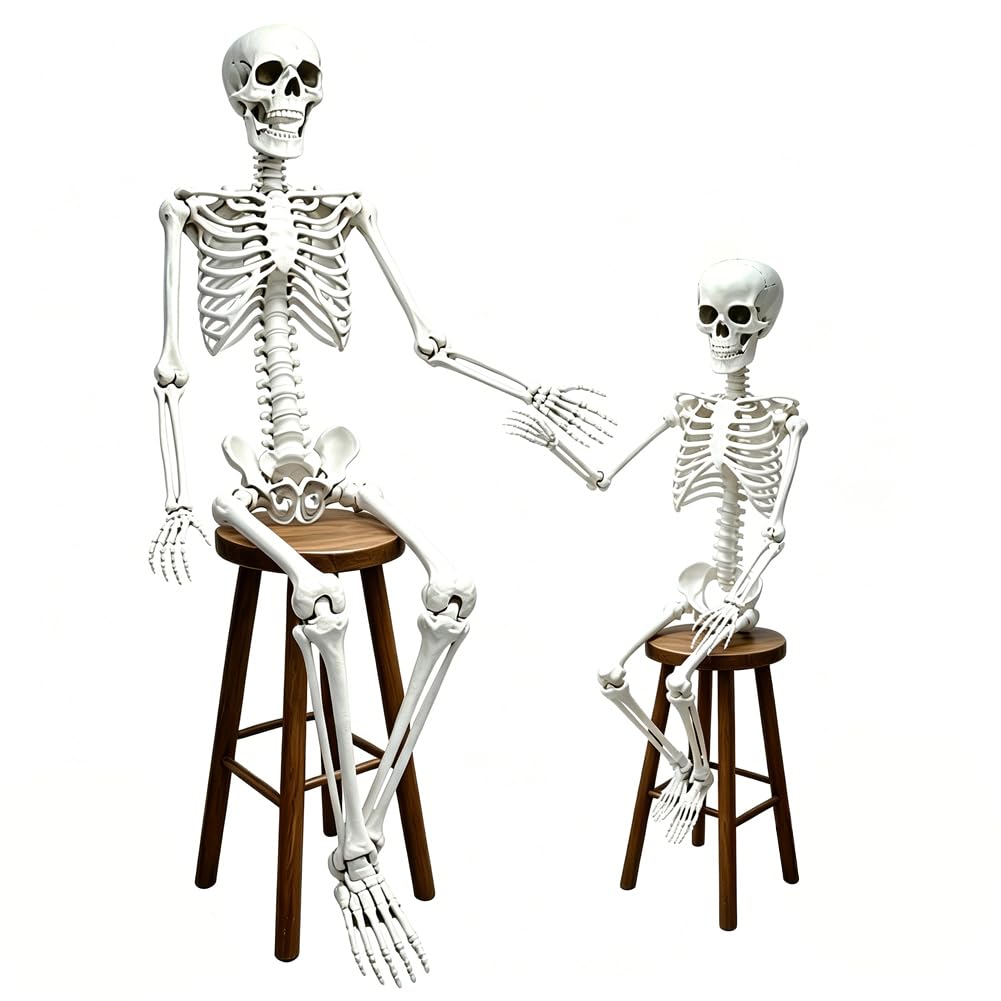 CAMIRUS 5.4ft full body skeleton with realistic bone details
