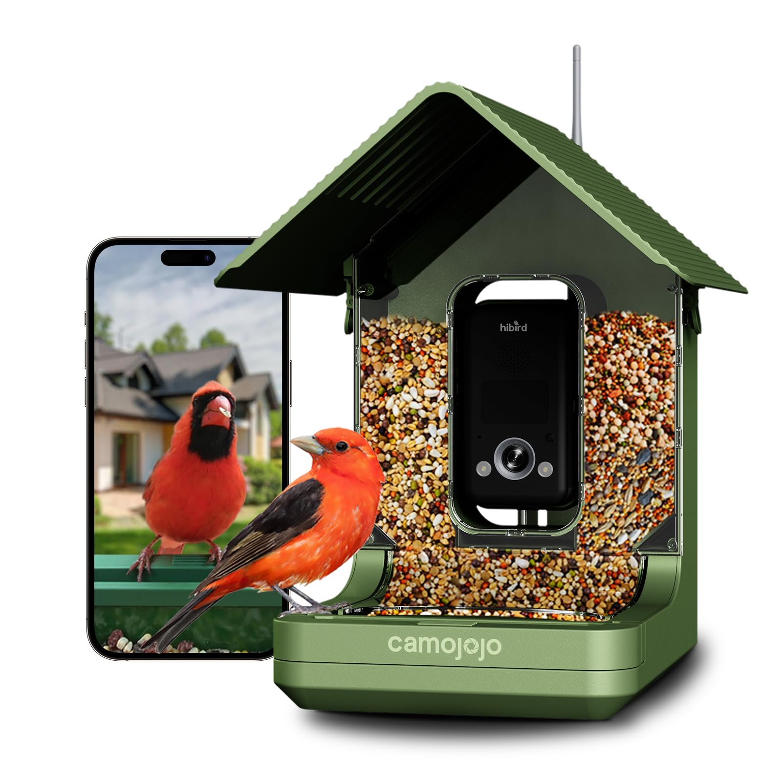 Camojojo Hibird 4K HD Smart Bird Feeder Camera in green