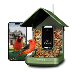 Camojojo Hibird 4K HD Smart Bird Feeder Camera in green
