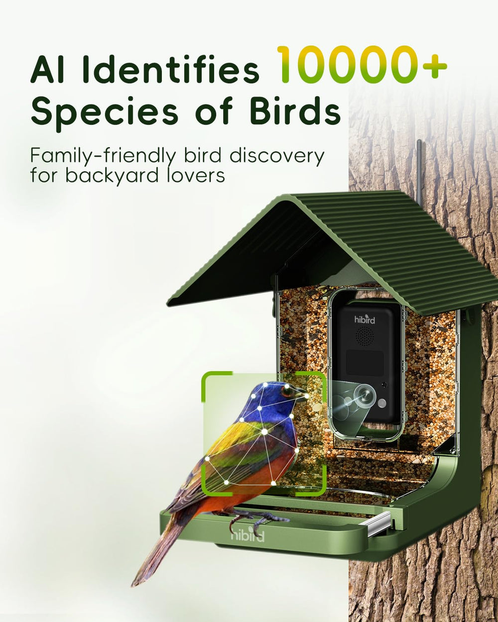 Camojojo Hibird bird feeder camera with birds nearby