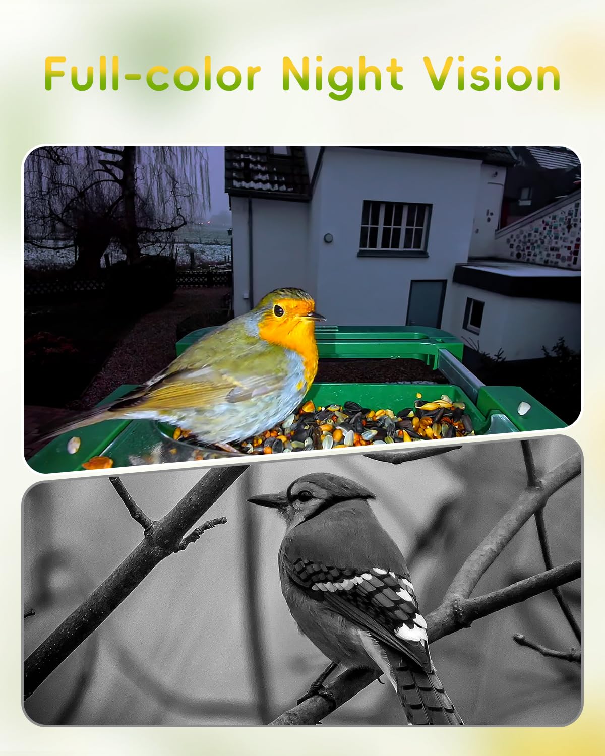 Camojojo Hibird camera capturing birds at night